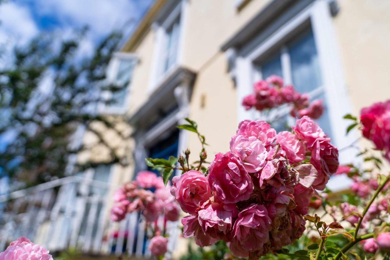 Ferry House Bed & Breakfast Dun Laoghaire Exteriér fotografie
